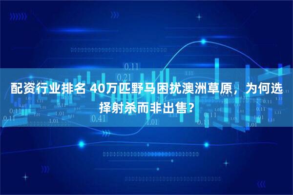 配资行业排名 40万匹野马困扰澳洲草原，为何选择射杀而非出售？